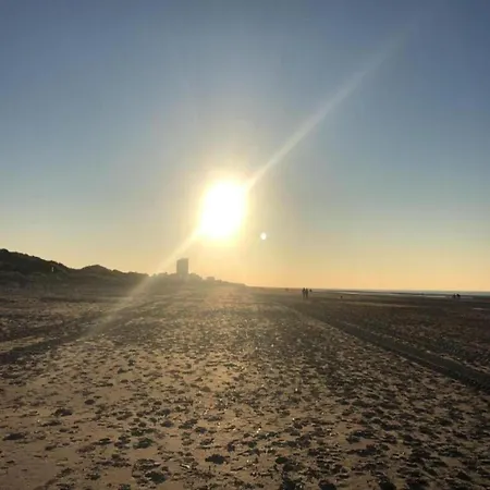 On Zeedijk With Stunning Sea View, Cleaning Included * Koksijde