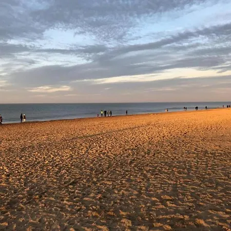 On Zeedijk With Stunning Sea View, Cleaning Included 아파트 *