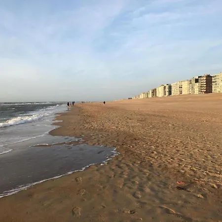 아파트 On Zeedijk With Stunning Sea View, Cleaning Included