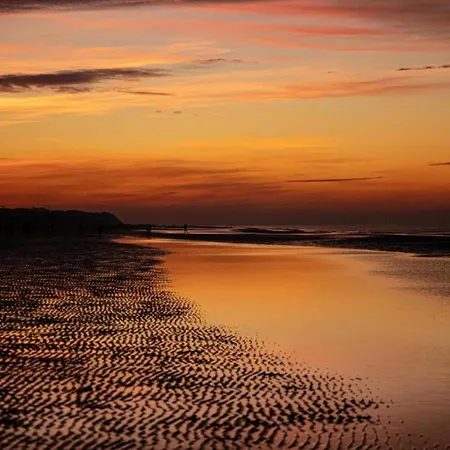 아파트 On Zeedijk With Stunning Sea View, Cleaning Included 코크시데