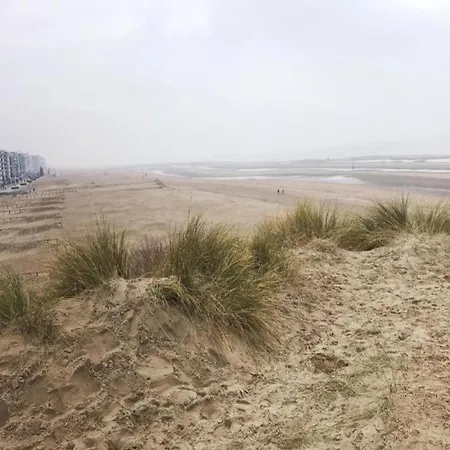 On Zeedijk With Stunning Sea View, Cleaning Included 코크시데